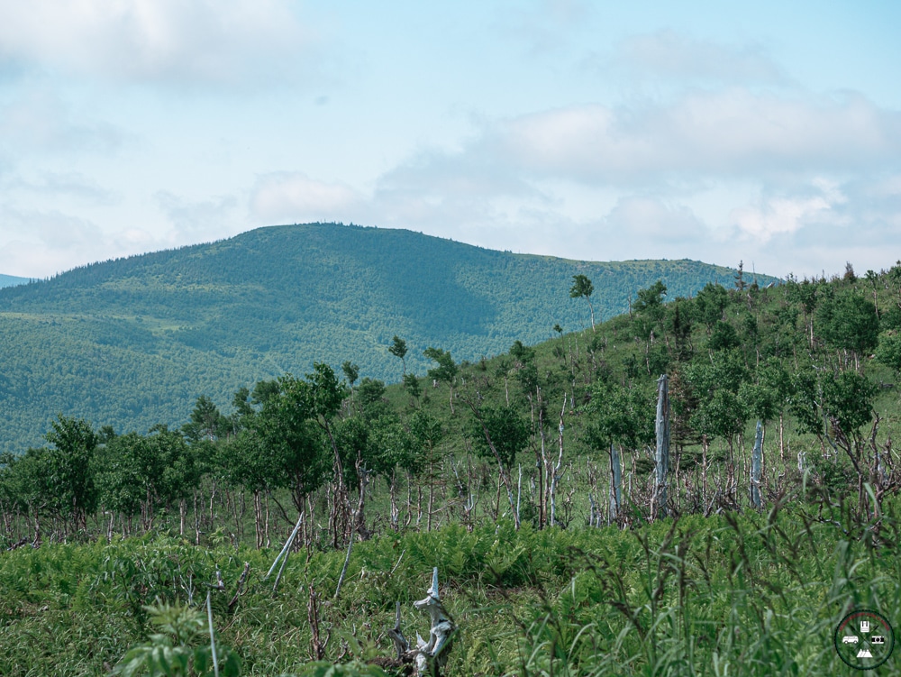 parc de la gaspésie