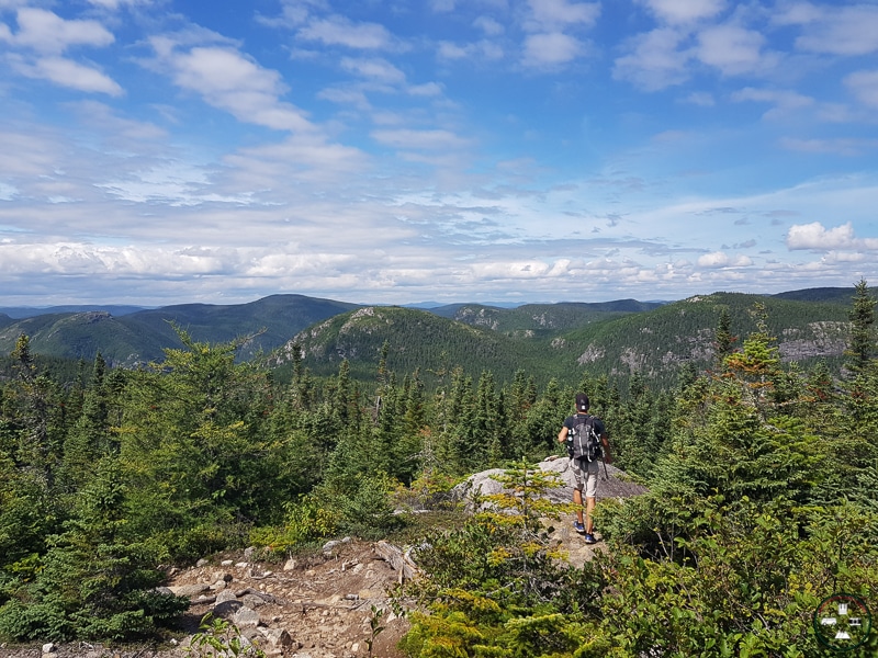 le pioui charlevoix