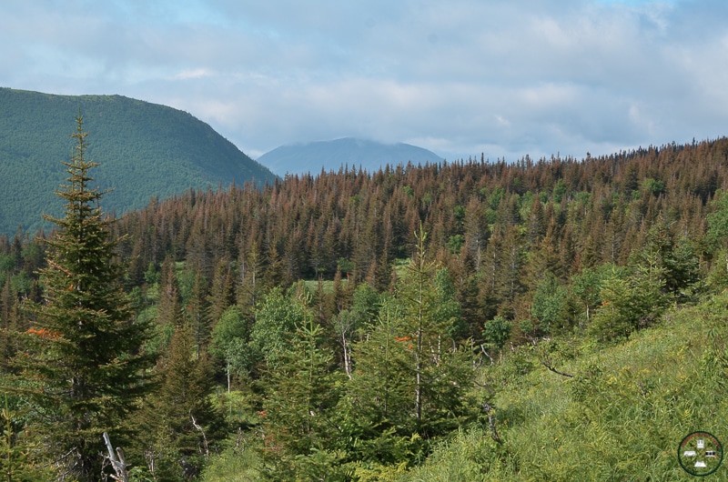 mont ernest laforce