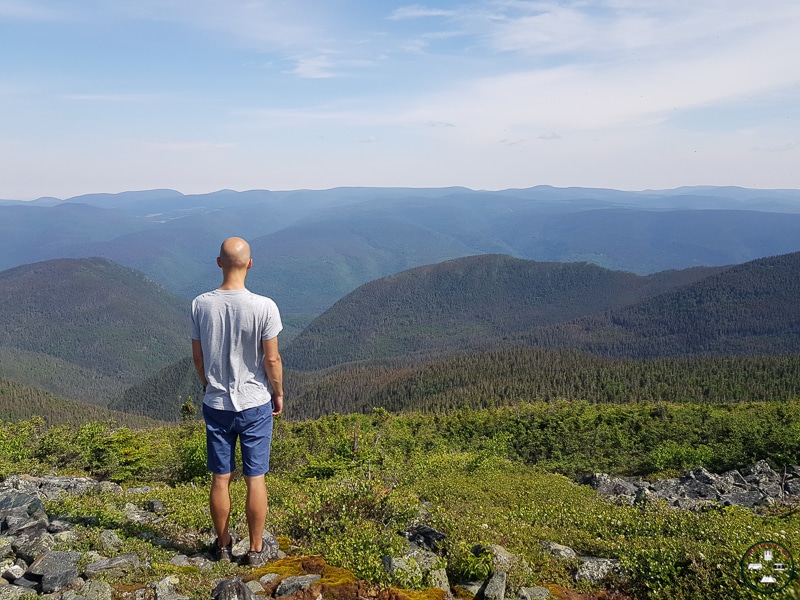 sentier mont albert gaspésie